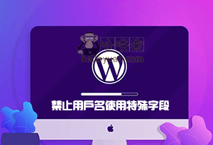 WordPress 禁止用户使用特殊字段-用户交互(三十五)