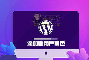 WordPress 添加新用户角色-用户交互(七十三)