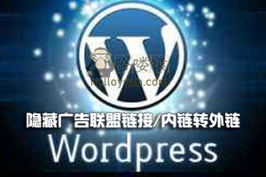WordPress 隐藏广告联盟链接/内链转外链-网站SEO(十一)