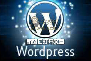 WordPress 新窗口打开文章/站外链接-添加nofollow属性-网站SEO(十三)