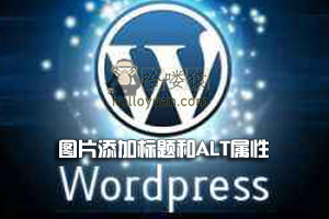 WordPress 图片自动添加标题和ALT属性-网站SEO(十八)