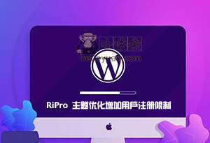 WordPress RiPro主题用户注册限制-用户交互(二)