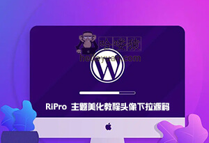 WordPress RiPro 主题美化教程头像下拉-用户交互(三)