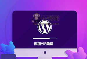 WordPress RiPro 添加VIP角标,-用户交互(四)